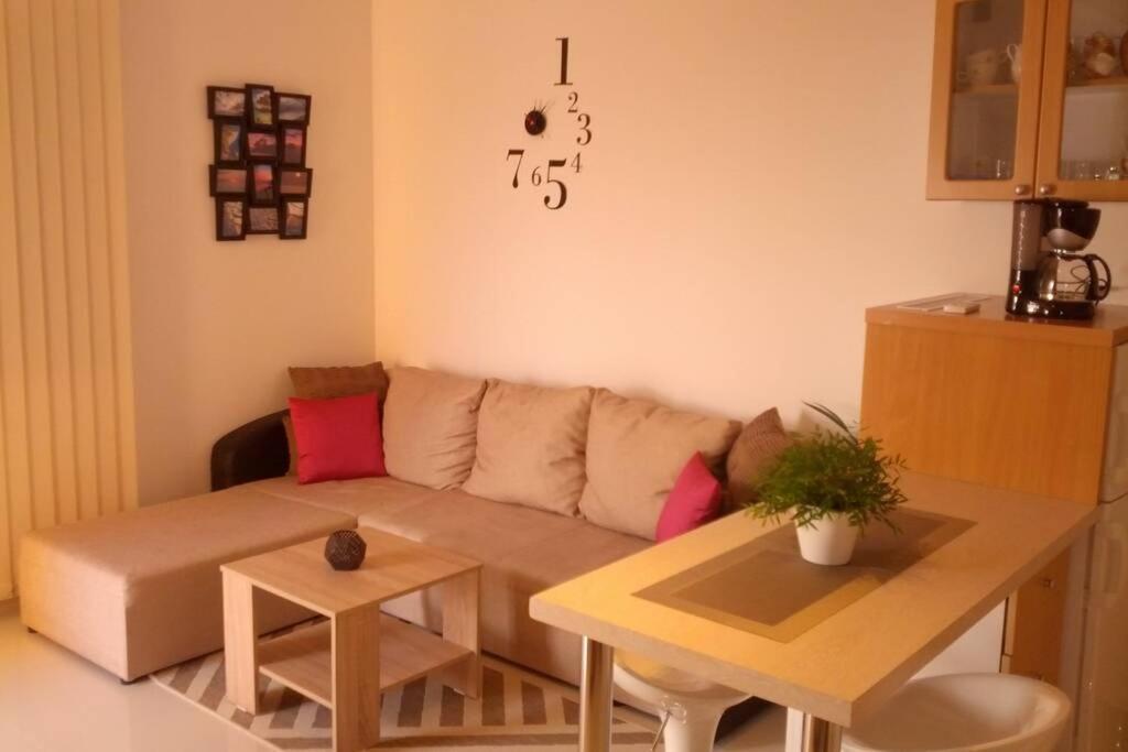 ברלה Apartment Dandelion מראה חיצוני תמונה