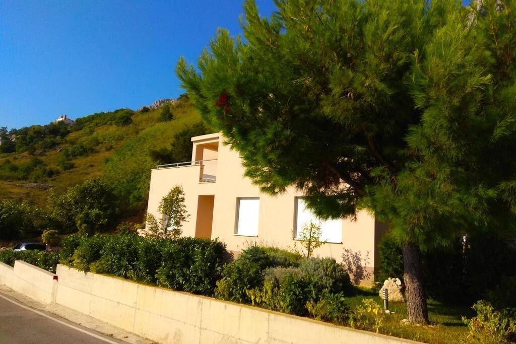 ברלה Apartment Dandelion מראה חיצוני תמונה