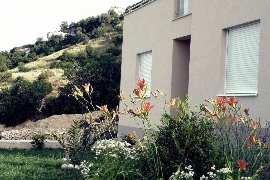 ברלה Apartment Dandelion מראה חיצוני תמונה