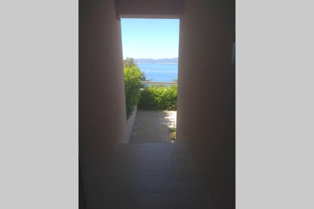 ברלה Apartment Dandelion מראה חיצוני תמונה