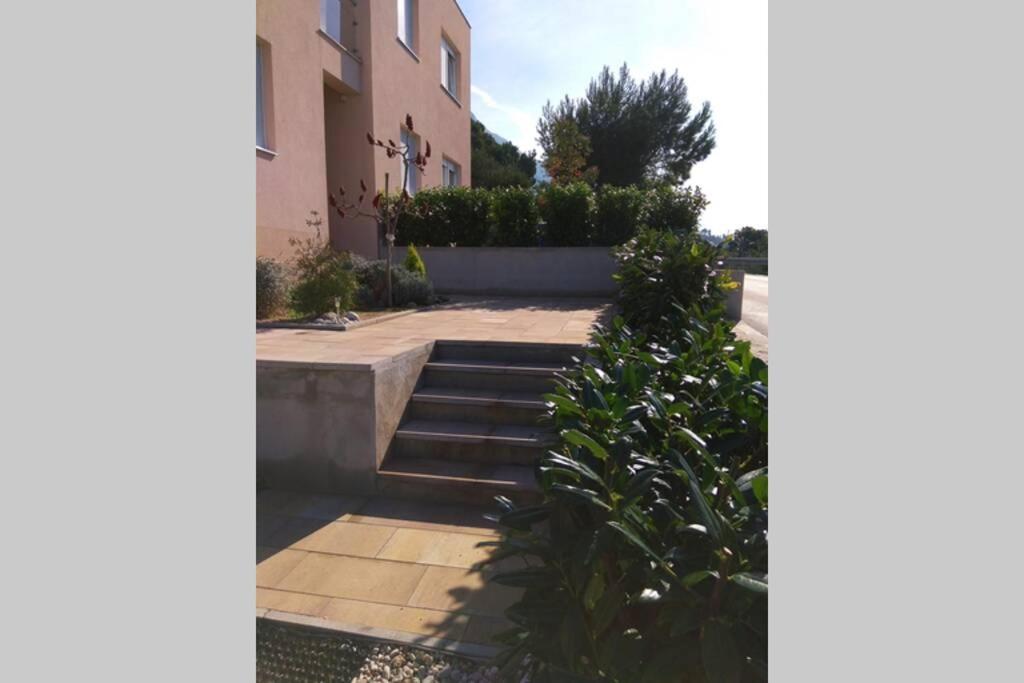ברלה Apartment Dandelion מראה חיצוני תמונה