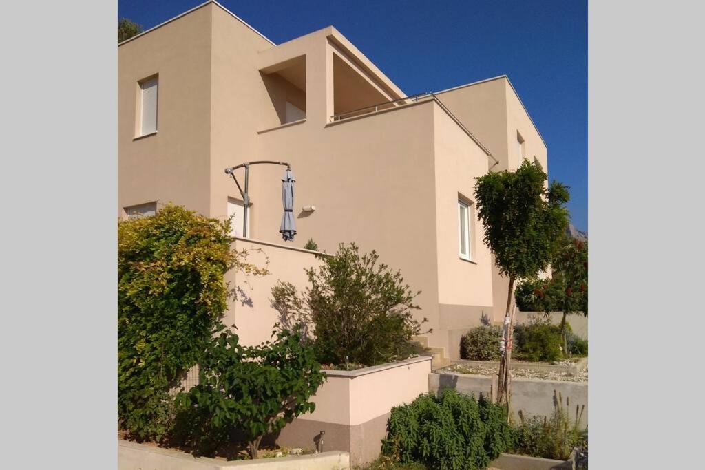 ברלה Apartment Dandelion מראה חיצוני תמונה