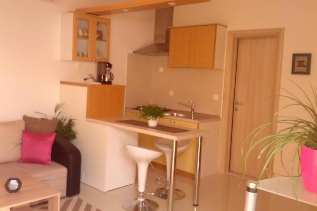 ברלה Apartment Dandelion מראה חיצוני תמונה