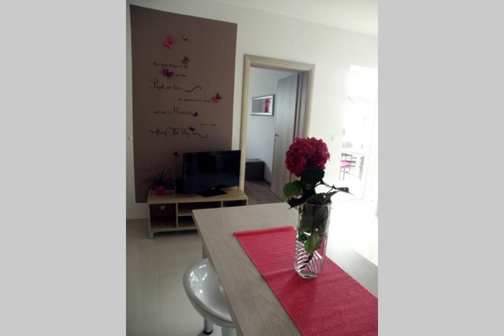 ברלה Apartment Dandelion מראה חיצוני תמונה