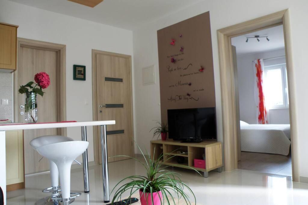 ברלה Apartment Dandelion מראה חיצוני תמונה