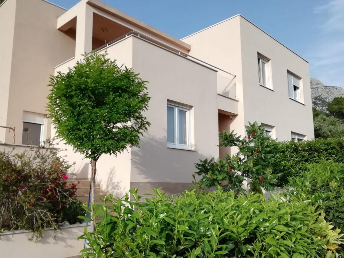 ברלה Apartment Dandelion מראה חיצוני תמונה