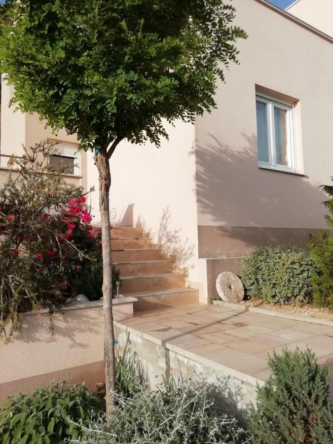 ברלה Apartment Dandelion מראה חיצוני תמונה