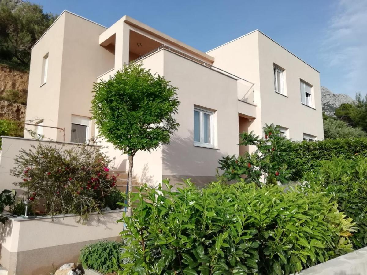 ברלה Apartment Dandelion מראה חיצוני תמונה