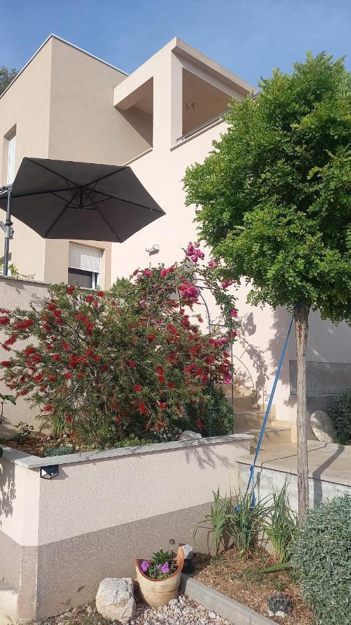 ברלה Apartment Dandelion מראה חיצוני תמונה