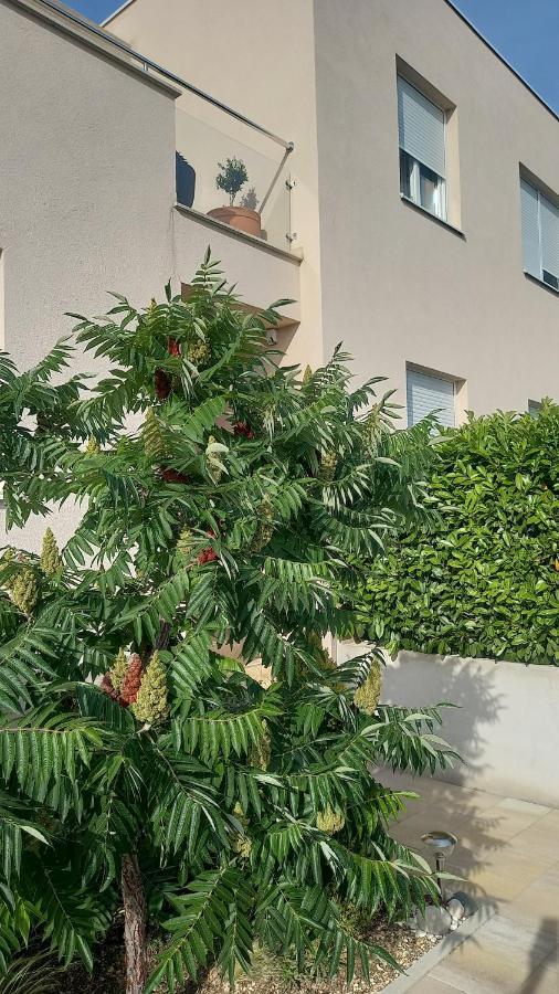 ברלה Apartment Dandelion מראה חיצוני תמונה