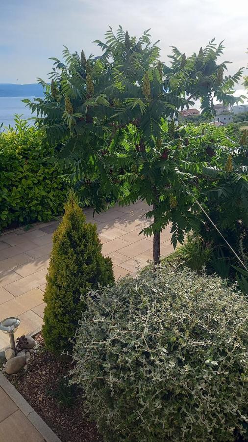 ברלה Apartment Dandelion מראה חיצוני תמונה