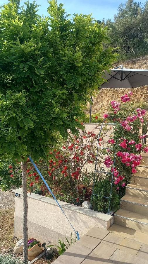 ברלה Apartment Dandelion מראה חיצוני תמונה