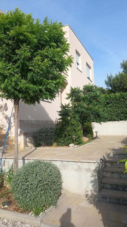 ברלה Apartment Dandelion מראה חיצוני תמונה